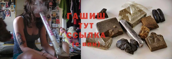 индика Волосово