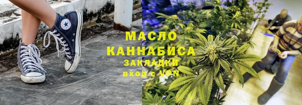 индика Волосово