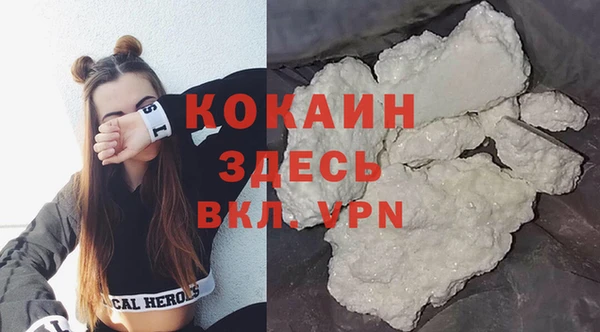 индика Волосово