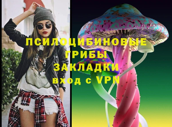 индика Волосово
